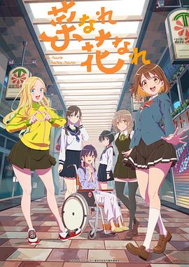 正规优化seo费用